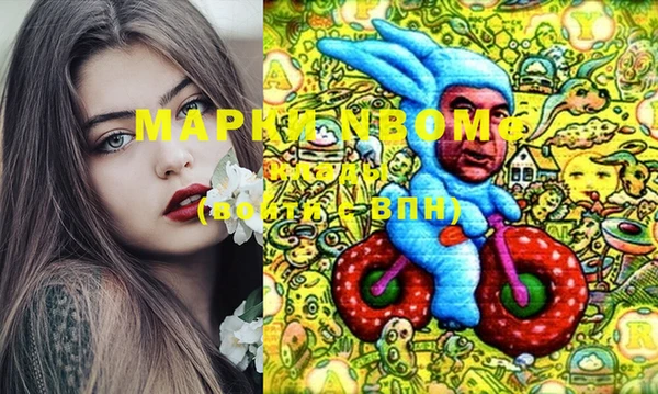 молекула духа Новозыбков