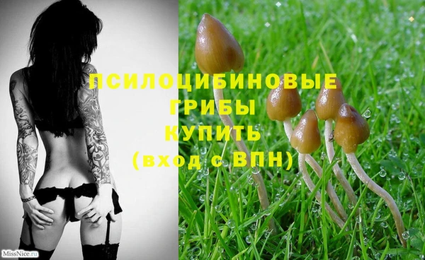мдпв Нея