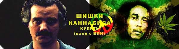apvp Пестово
