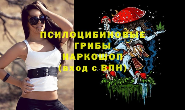 не бодяженный Нефтекумск