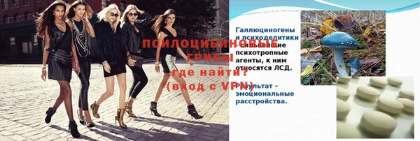 винт Гусиноозёрск