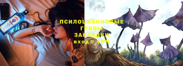 крисы Нефтегорск