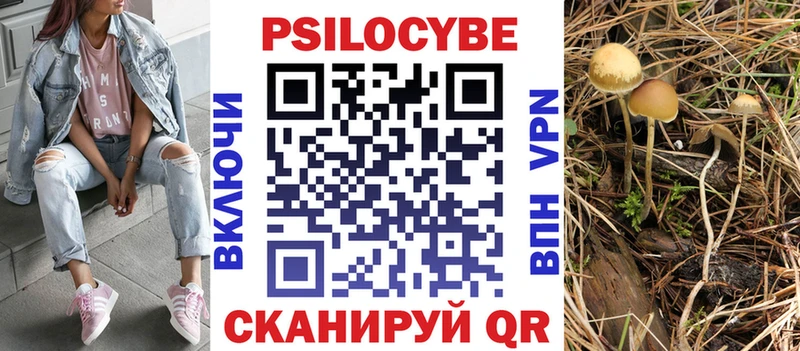 Псилоцибиновые грибы мухоморы  mega ССЫЛКА  Кувшиново  цена наркотик 